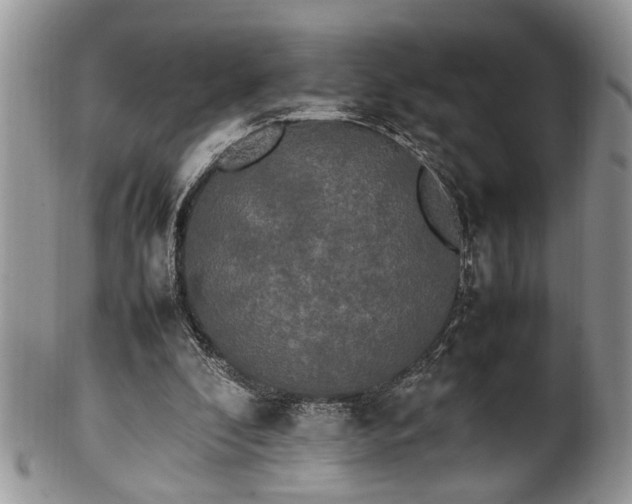 X0000102260296200808011411