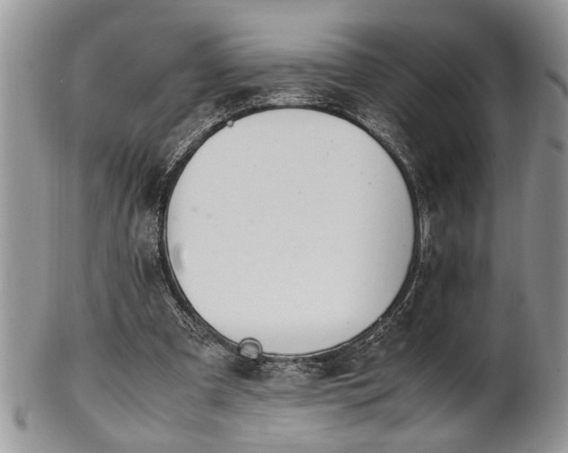 X0000102260297200808011411