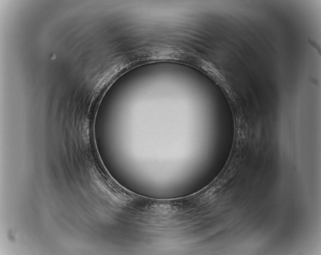 X0000102260298200808011411