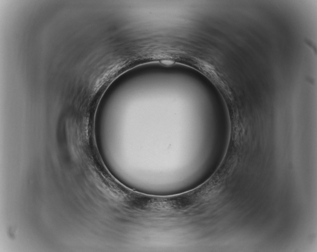 X0000102260299200808011411