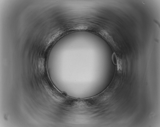 X0000102260300200808011411