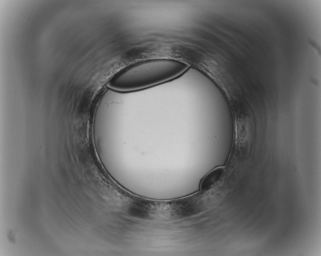 X0000102260301200808011411