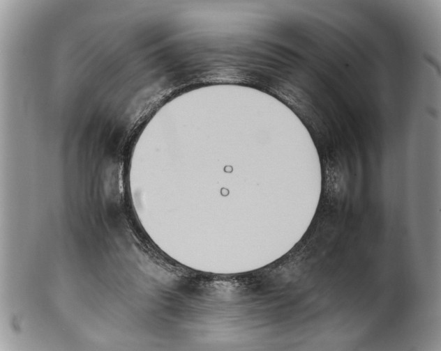 X0000102260302200808011411