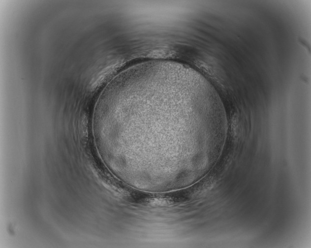 X0000102260303200808011411