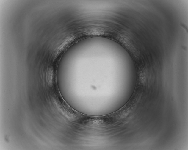 X0000102260304200808011411