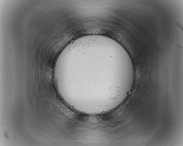 X0000102260305200808011411