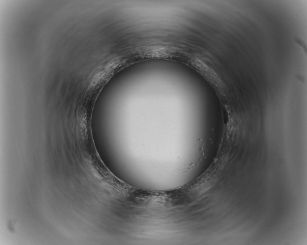 X0000102260306200808011411