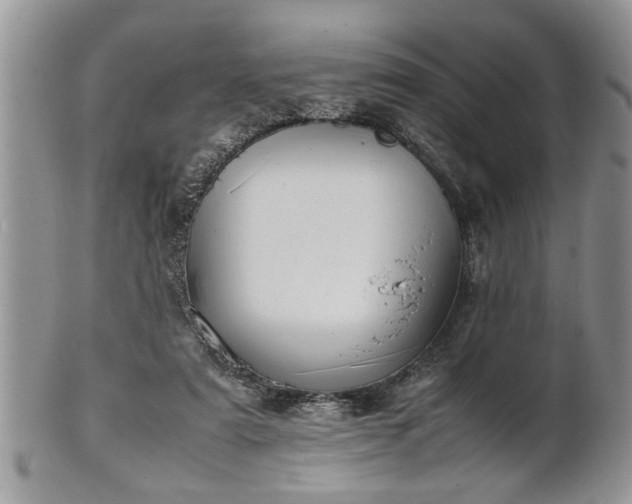 X0000102260307200808011411