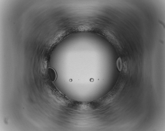 X0000102260308200808011411