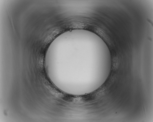 X0000102260309200808011411