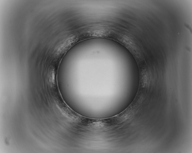 X0000102260310200808011411