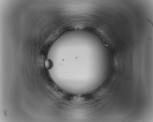 X0000102260311200808011411