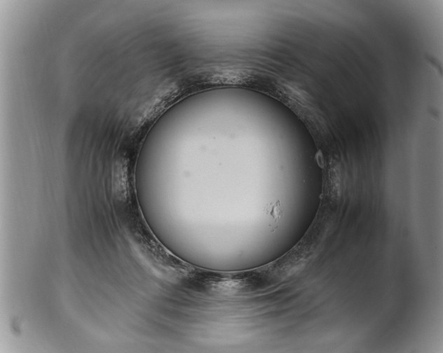 X0000102260312200808011411