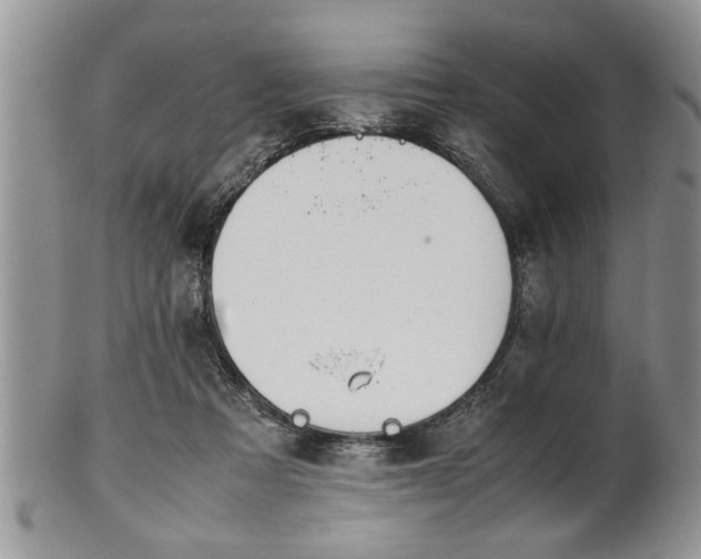 X0000102260313200808011411