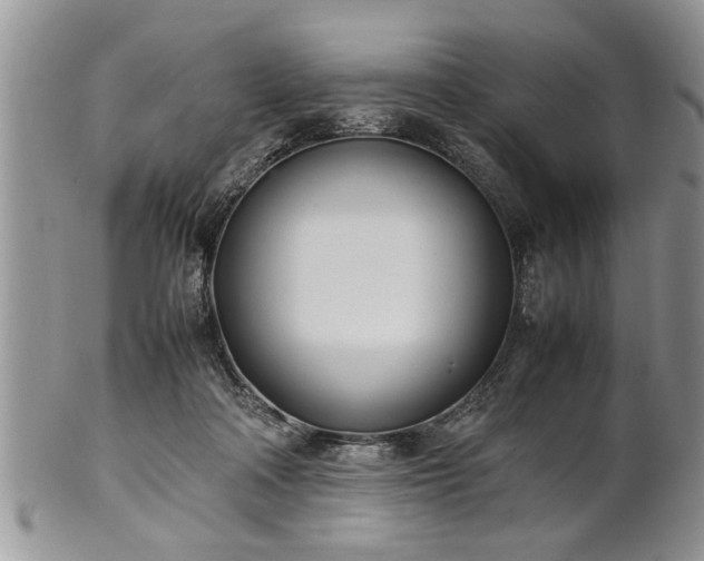 X0000102260314200808011411