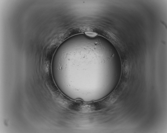 X0000102260315200808011411