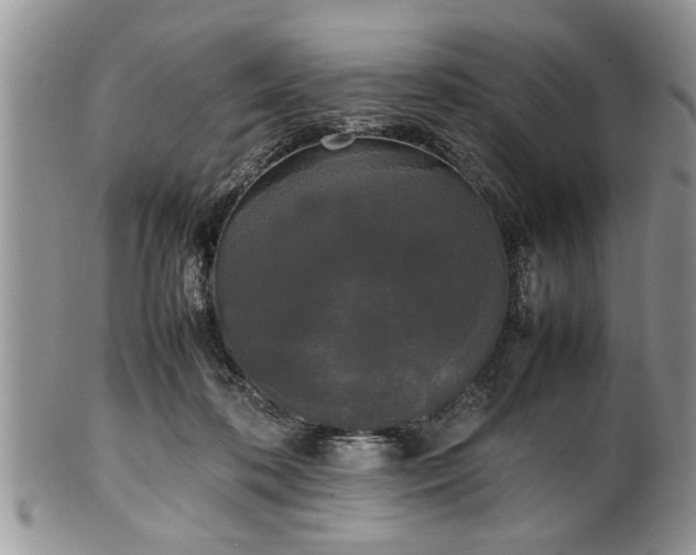 X0000102260316200808011411