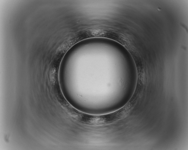 X0000102260319200808011410