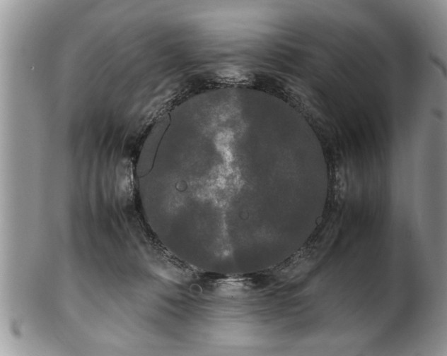 X0000102260320200808011410