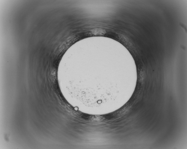 X0000102260321200808011410