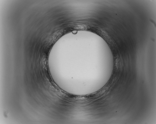 X0000102260322200808011410