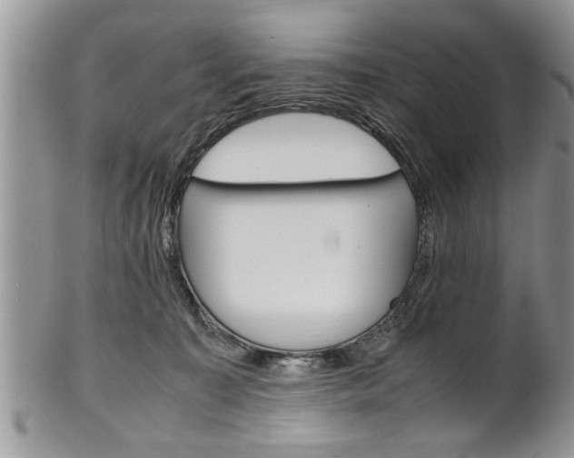 X0000102260323200808011410