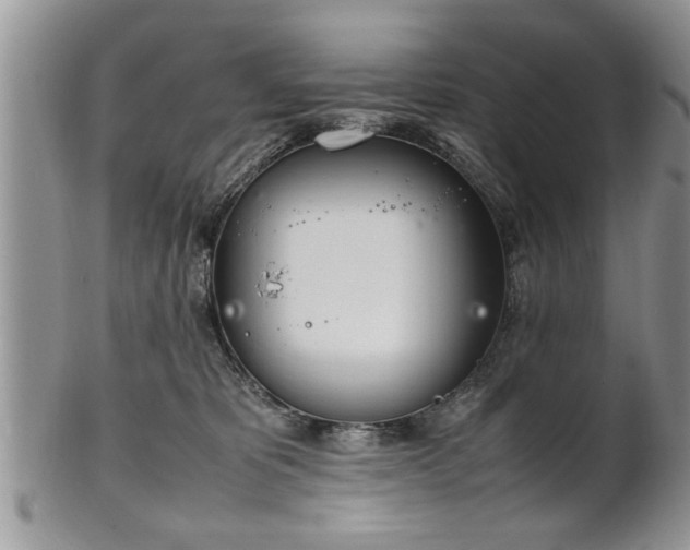 X0000102260325200808011410