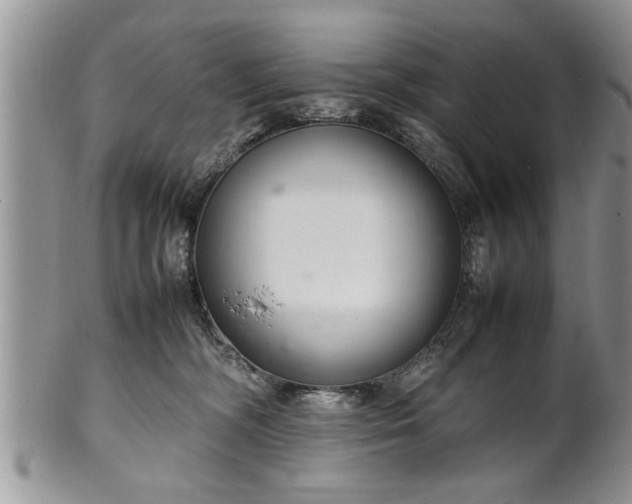 X0000102260326200808011410