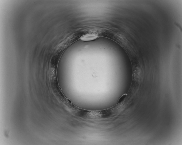 X0000102260327200808011410