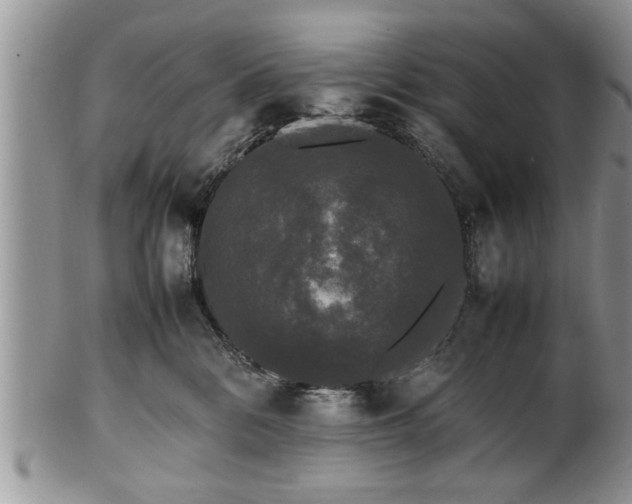 X0000102260328200808011410