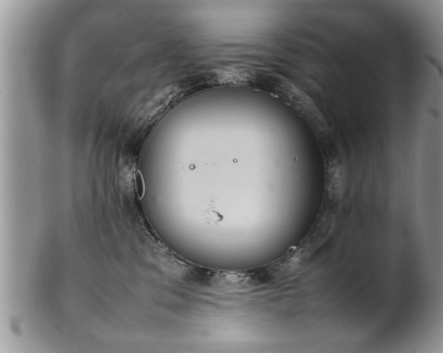 X0000102260329200808011410