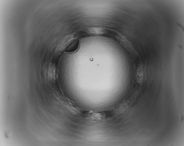 X0000102260330200808011410