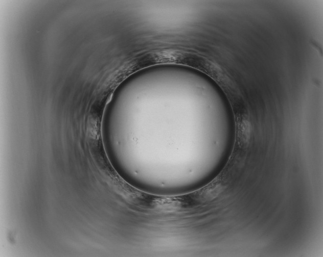 X0000102260331200808011410