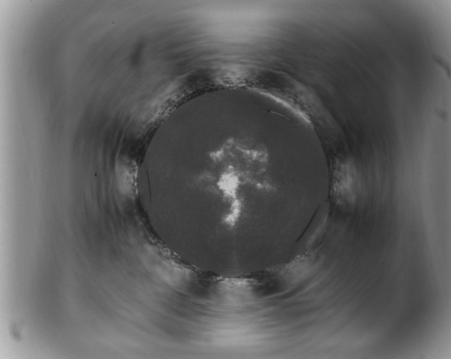 X0000102260332200808011410