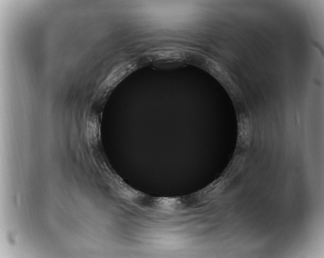 X0000102260333200808011410