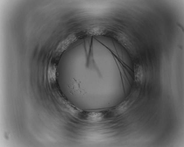 X0000102260334200808011410