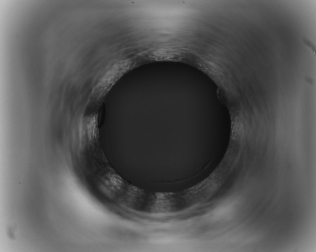 X0000102260335200808011410