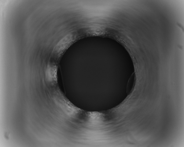 X0000102260336200808011410