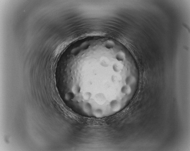 X0000102260337200808011410