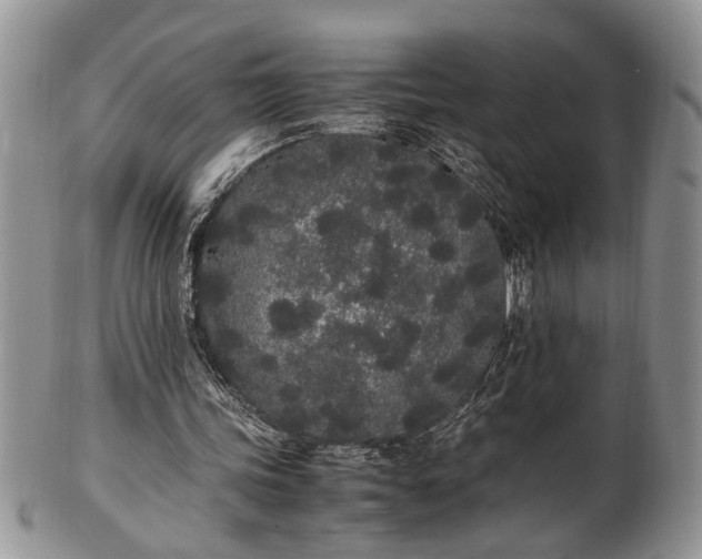 X0000102260339200808011410