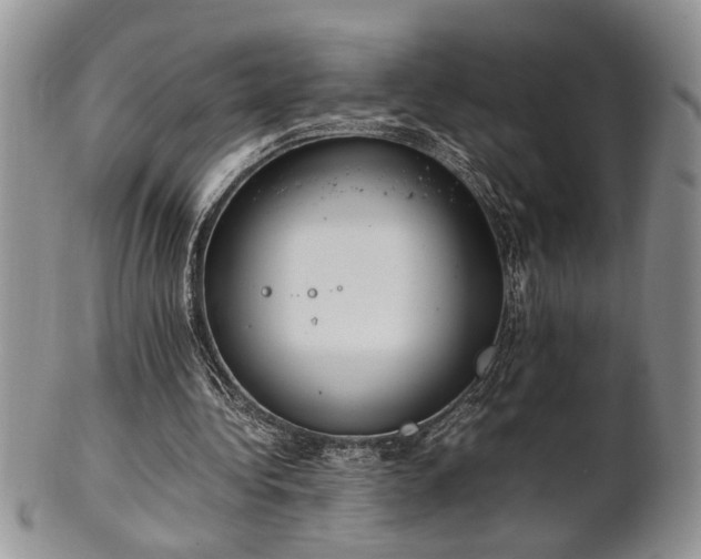 X0000102260340200808011410