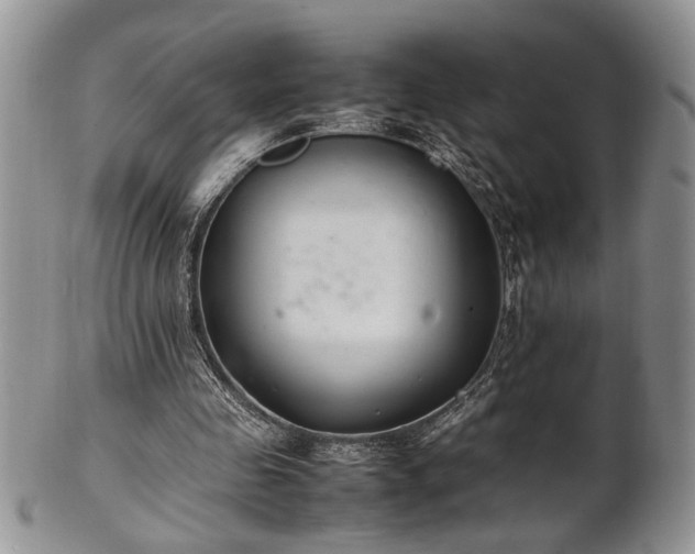 X0000102260341200808011410