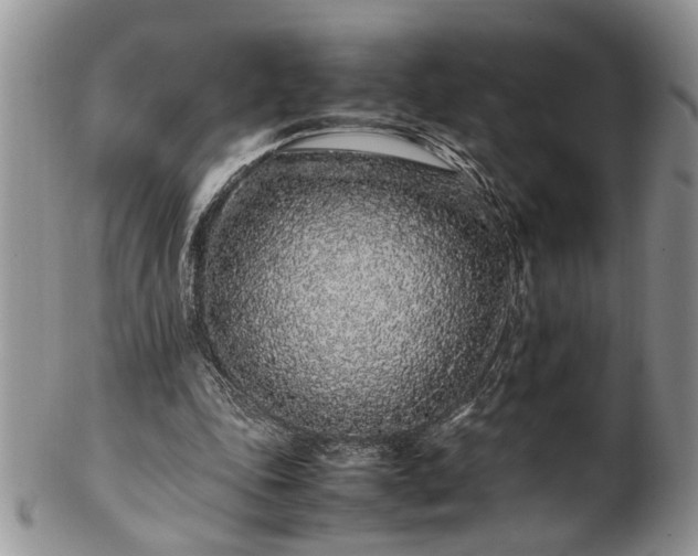 X0000102260343200808011410