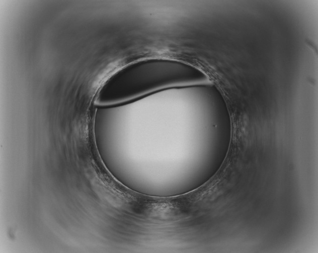 X0000102260344200808011410