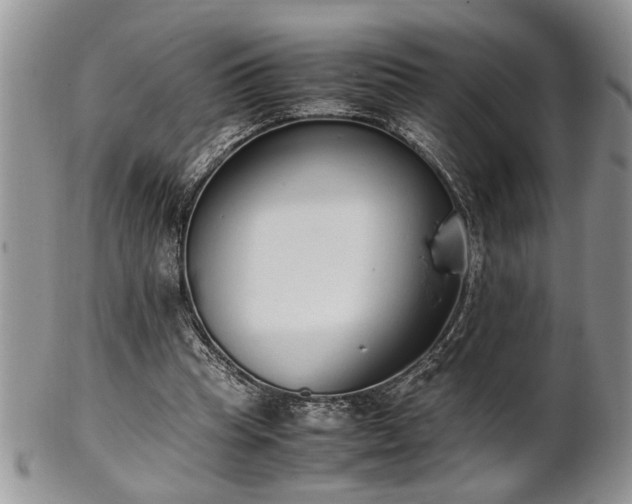 X0000102260345200808011410