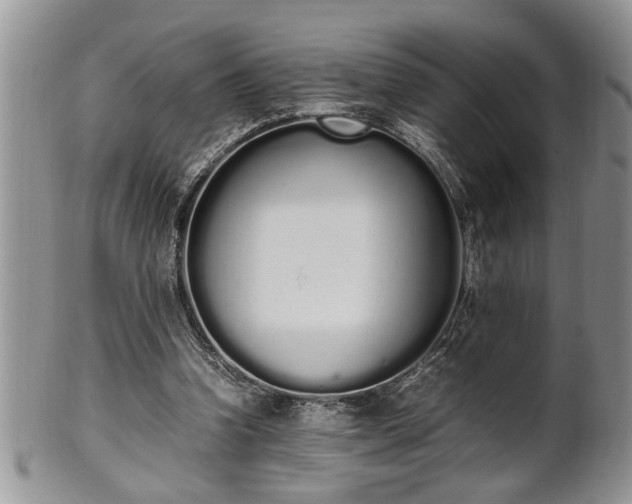 X0000102260346200808011410