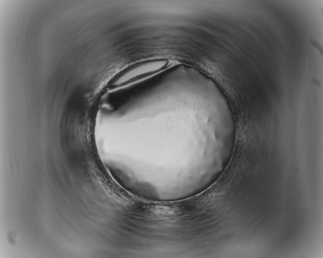 X0000102260347200808011410