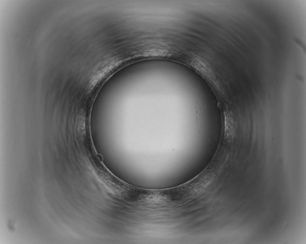 X0000102260348200808011410