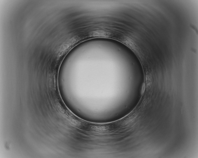 X0000102260349200808011410