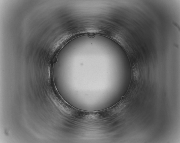 X0000102260350200808011410